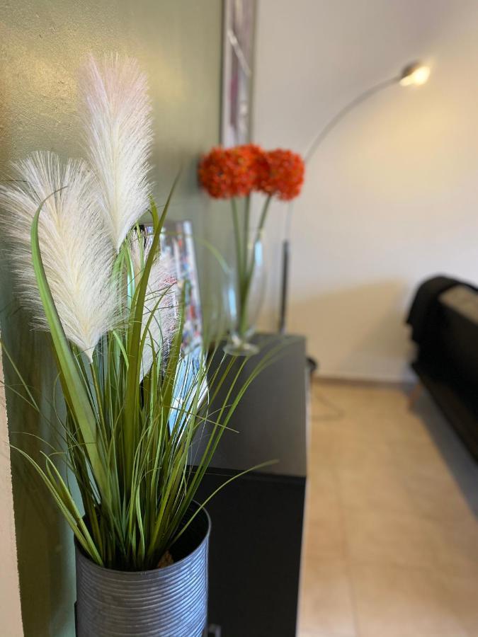 Appartements vue mer Saint-Florent  Buitenkant foto